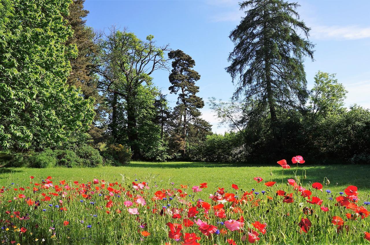 Domaine Des Marequiers Chambre Silene Saint-Germain-du-Teil Экстерьер фото