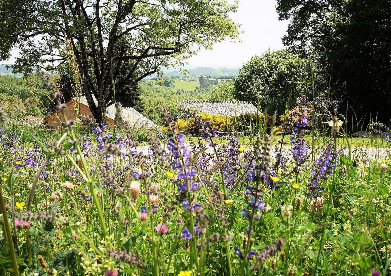 Domaine Des Marequiers Chambre Silene Saint-Germain-du-Teil Экстерьер фото