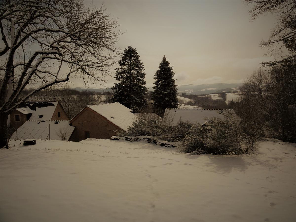 Domaine Des Marequiers Chambre Silene Saint-Germain-du-Teil Экстерьер фото